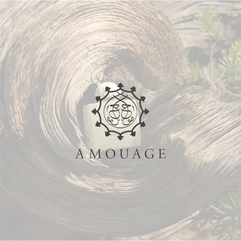AREEQ — أمواج AMOUAGE