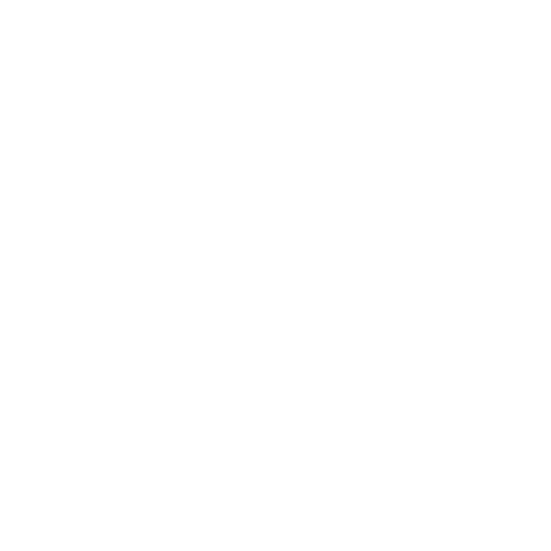بوس Boss