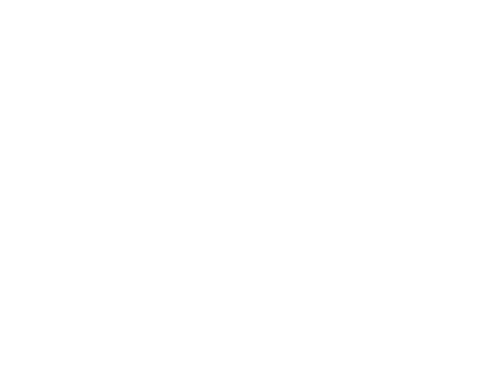 ايغنر Aigner